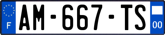 AM-667-TS