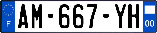 AM-667-YH
