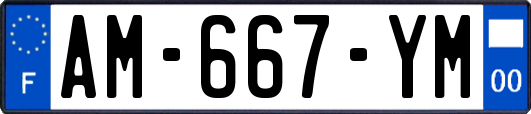 AM-667-YM