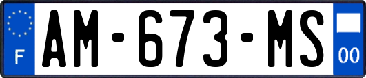 AM-673-MS