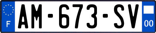 AM-673-SV