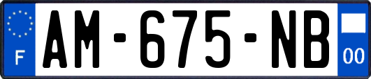 AM-675-NB