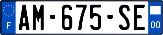 AM-675-SE