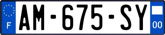 AM-675-SY