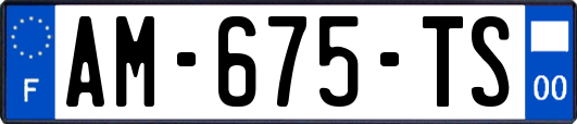 AM-675-TS