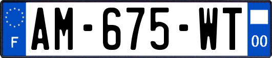 AM-675-WT