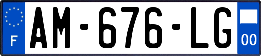 AM-676-LG