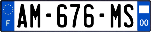 AM-676-MS