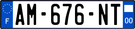 AM-676-NT