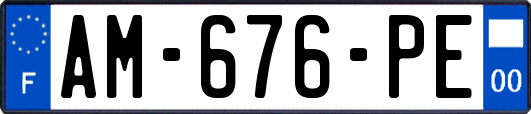 AM-676-PE