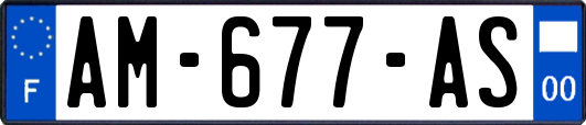 AM-677-AS