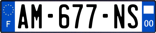 AM-677-NS