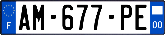 AM-677-PE