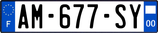 AM-677-SY