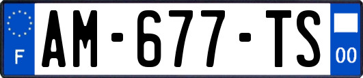 AM-677-TS
