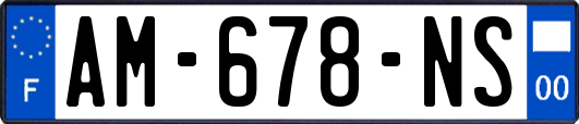 AM-678-NS