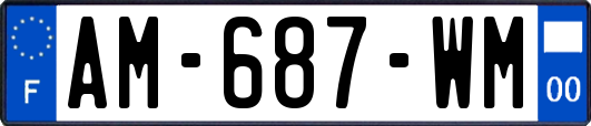 AM-687-WM
