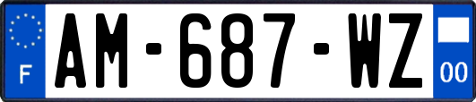AM-687-WZ