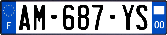 AM-687-YS