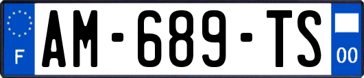 AM-689-TS