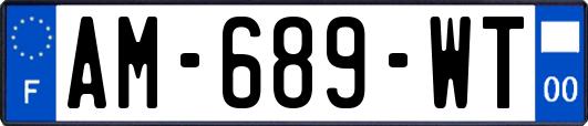 AM-689-WT