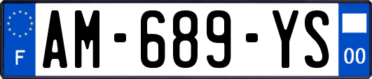 AM-689-YS