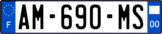 AM-690-MS