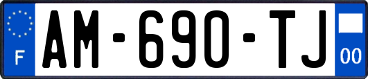 AM-690-TJ