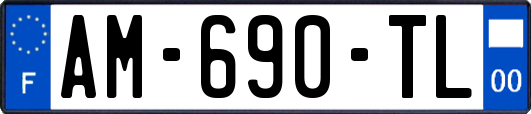AM-690-TL