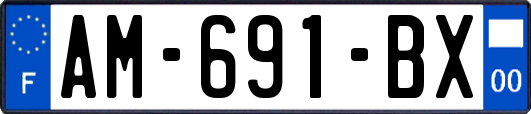AM-691-BX