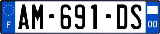 AM-691-DS