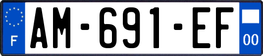 AM-691-EF