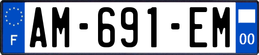 AM-691-EM