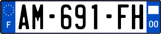 AM-691-FH