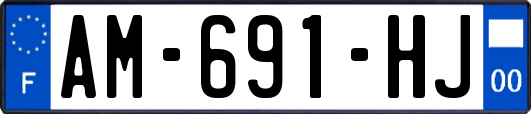 AM-691-HJ