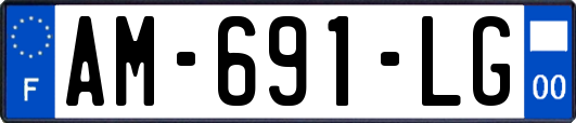 AM-691-LG