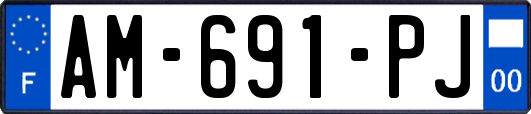 AM-691-PJ