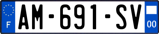 AM-691-SV