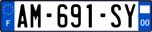 AM-691-SY