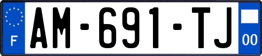 AM-691-TJ