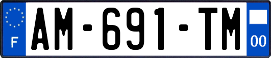 AM-691-TM
