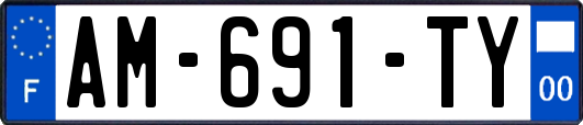 AM-691-TY