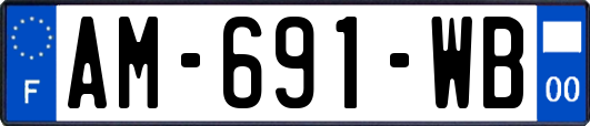 AM-691-WB