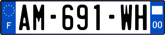AM-691-WH