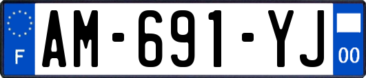 AM-691-YJ