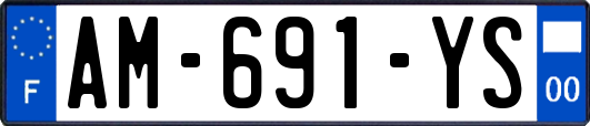 AM-691-YS