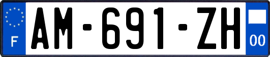 AM-691-ZH