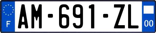AM-691-ZL