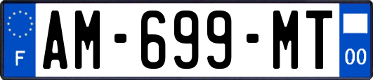 AM-699-MT