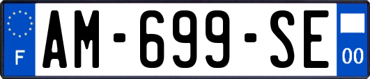AM-699-SE